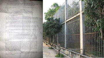 Vụ hổ cắn đứt tay: Cô thợ may trở thành nhân viên vườn thú?