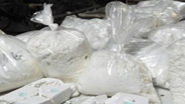 Bolivia bắt giữ 1,8 tấn cần sa