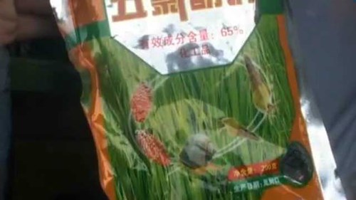 Thương lái Trung Quốc tuồn hóa chất “lạ” thuê người dân khai thác giun đất