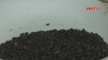 Không có chuyện gạo nhựa xuất hiện ở Việt Nam