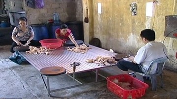 Thanh Hóa: Bắt quả tang 6 hộ dân chế biến mỡ bẩn từ bì lợn thối