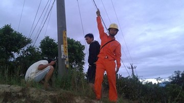 Hy hữu: Chim gây nổ trụ điện, cả xóm náo loạn