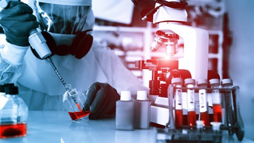 Virus bí ẩn khiến nhiều người Ai Cập tử vong rất nhanh