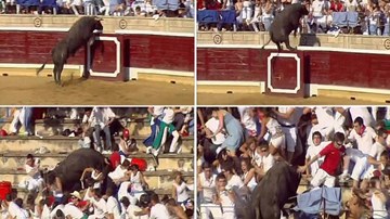 Kinh hoàng bò tót lao lên khán đài húc khán giả