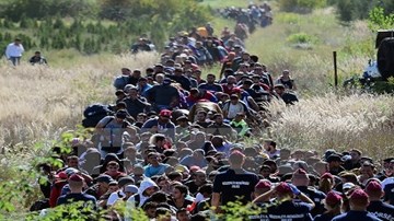 EC Triệu tập cuộc họp bất thường về khủng hoảng di cư ở tây Balkan