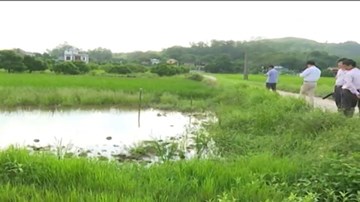 Hiện tượng sụt lún đất ở huyện Kinh Môn