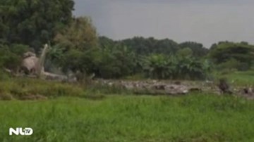 Máy bay rơi ở Nam Sudan, 46 người tử nạn