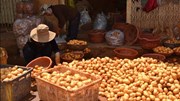 Lại cho khoai tây Trung Quốc vào chợ nông sản Đà Lạt
