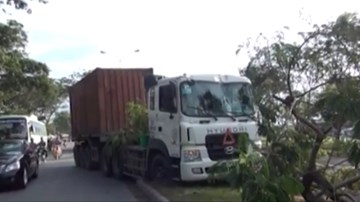 Xe container lao lên dải phân cách tông gãy cây xanh