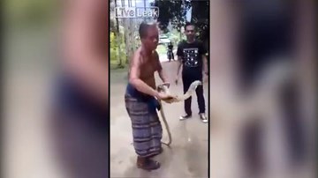 Nín thở xem cụ ông tay không bắt rắn