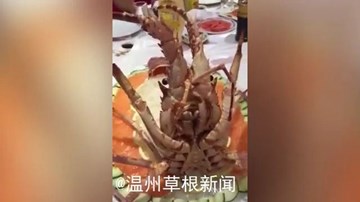 Tôm hùm đã lóc thịt, đầu vẫn ngọ nguậy trên bàn