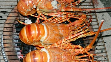 Đến Bình Ba thưởng thức tôm hùm tươi ngon đã miệng