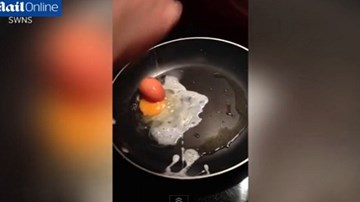 Ngỡ ngàng hiện tượng ‘trứng trong trứng’ cực hiếm gặp