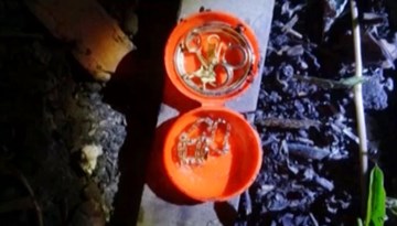 Trộm vàng rồi chôn luôn tại nhà nạn nhân