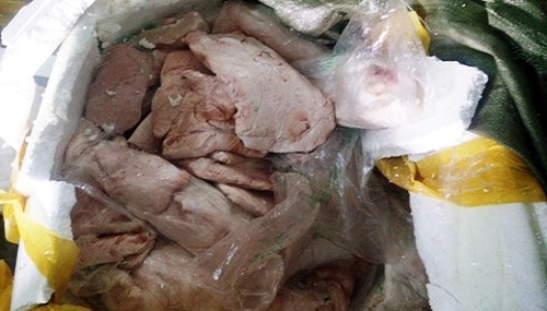 Bắt hơn 2 tấn thịt, vú heo bốc mùi chuẩn bị 