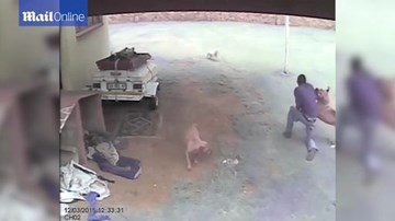 Tên trộm khổ sở đến tội nghiệp vì bị chó tấn công