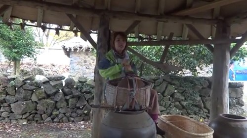 Cô gái Hàn Quốc nói tiếng Việt bá đạo trên đảo Jeju