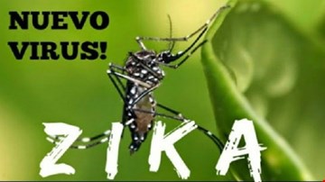 Cảnh báo virus ăn não do muỗi truyền ở Việt Nam