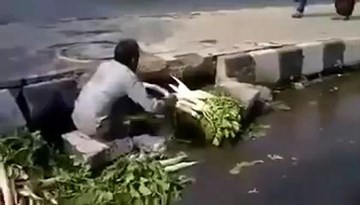 Kinh hãi cảnh rửa rau bằng nước cống ngay ven đường