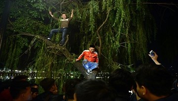 Hai thanh niên nhảy múa trên cây đêm giao thừa