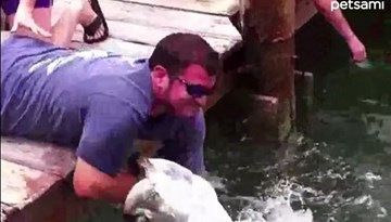 Cách câu cá cực dị, dùng tay làm mồi nhử