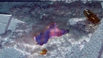 Thực phẩm chức năng Omega-3 'ăn mòn' miếng xốp