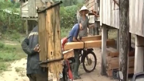 Ngụy trang xe chở nông sản, 