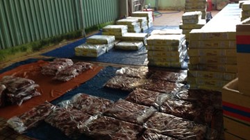 Bắt quả tang vụ ngâm hóa chất biến thịt trâu thành thịt bò