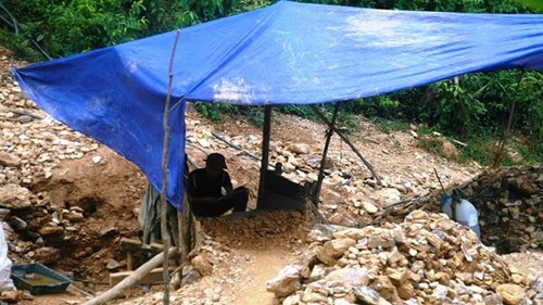 Người dân đào đãi vàng bị cướp liên tục tấn công
