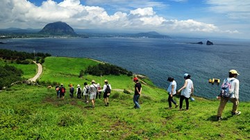 Một số du khách Việt mất tích tại Hàn Quốc đã về đến Việt Nam