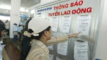 Lao động cả tin, dễ 