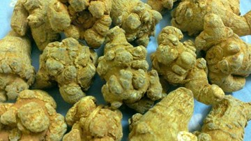 Tác dụng chữa bệnh của tam thất ít người biết