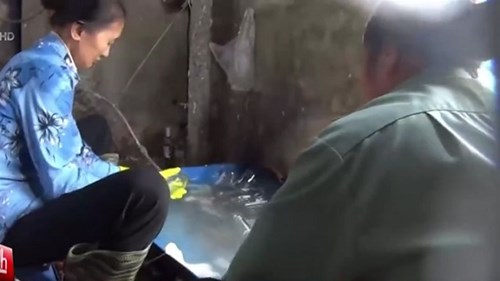 Cận cảnh công nghệ pha chế rượu vang từ nước lã và... cồn