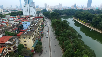 Hàng cây cổ thụ tuyệt đẹp trên đường Kim Mã trước ngày bị đốn hạ