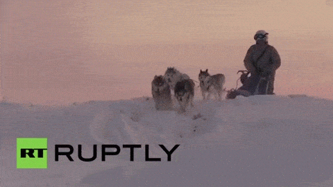 Hạm đội phương Bắc Nga diễn tập lần đầu cùng tuần lộc