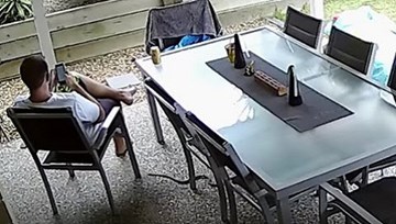 Chú chó liều mình cứu chủ thoát khỏi rắn nâu cực độc