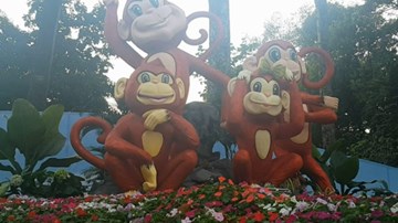 Ngắm 