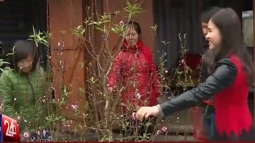 Tết rất khác của người chuyển giới