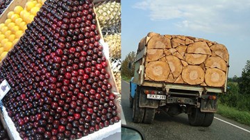 Những hình ảnh về sự sắp đặt hoàn hảo đến khó tin