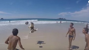 Khó tin: Chó chơi bóng chuyền giỏi như người