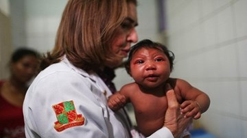 Nghi vấn hoá chất diệt muỗi gây teo não