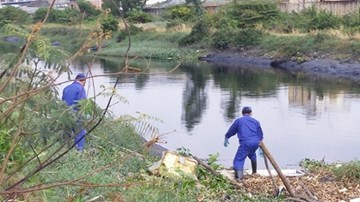 Đi vớt bèo, tá hỏa phát hiện xác người đang phân hủy