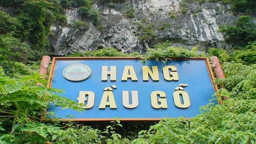 Nâng cấp, sửa chữa hang Đầu Gỗ - Quảng Ninh