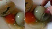 Kỳ lạ trứng gà "đẻ" ra trứng