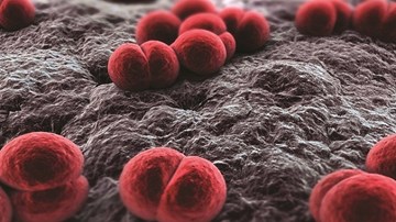 Viêm não mô cầu nguy hiểm nhưng không nên hoảng