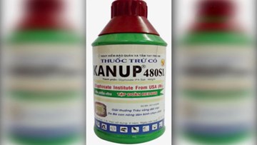 Chất Glyphosate nguy cơ gây ung thư lưu hành rộng rãi