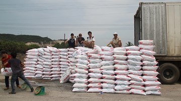 Vụ tài xế “ăn vạ” tại trạm cân ở Bình Định: Dỡ hàng đếm từng bao phân