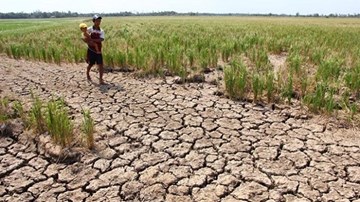 Hạn hán kéo dài đe dọa mùa màng tại khu vực sông Mekong