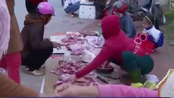 Quảng Bình: Lợn bị bệnh vẫn được cấp phép… giết mổ
