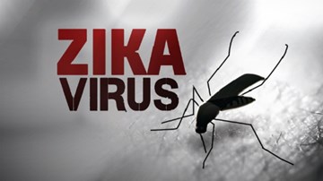 Tất tần tật về Zika - Virus 